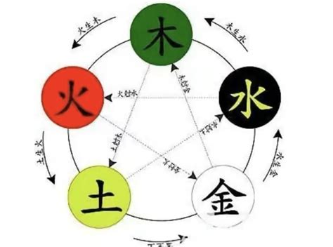 火木土金水|「万物类象」金、水、木、火、土五行取象